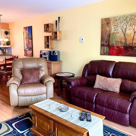 Apartament Le Pareo De Magog-Mont Orford Zewnętrze zdjęcie